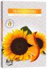 p15-330-sunflowers