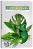 tropical island_p15-274-pl-1844