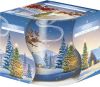 sn71s-01 winter