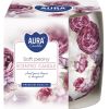 sn71s-62_soft peony
