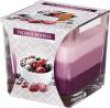frozen berries_snk80-314-pl-15834