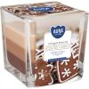 snk80-346_gingerbread