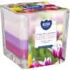 snk80-364_fragrant garden