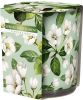 sn72s-40-pl-15884 Spring Refreshment