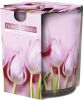 sn72s-41-pl-15883 Floral Happiness