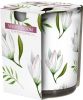 sn72s-42-pl-15882 White Bloom