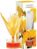 dz50l-362-wild freesia_jó