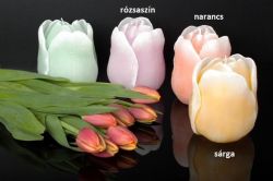 r - TULIPAN w pud, illatos gyertya díszdoboz
