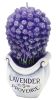 j_Lavender Boutique_1