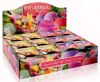 berries-ice-cream_karton