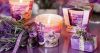 j_lavender-fields_csoport
