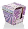 lavenders kiss-oil_1