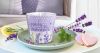 lovely lavender-csoport