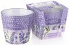 minty-lavender_db