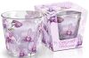 Orchid Phalaenopsis 115 g a