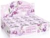 Orchid Phalaenopsis Display