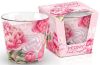 Peony Pink Sunset 115 a