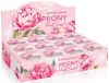 Peony Pink Sunset Display