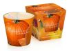 pumpkin-season