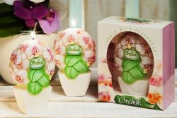Gyertya - Orchid bouquet (díszdoboz)