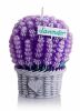 485_lavender-figure-70_db