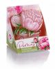 peony_figurka-80_doboz_2