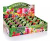 Tutti Frutti_figurka-80_karton