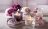 midnight-peony-150-g csoport